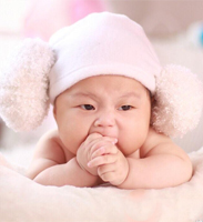 A�ײͣ�����/��L�Ի�����