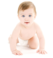 E�ײͣ�����հ��ɹ���������ѡ�Ա�