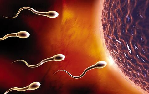 ���ݴ���