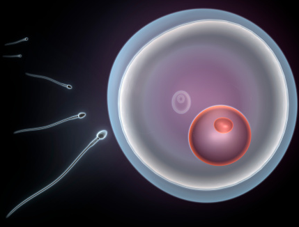 ���ݴ���