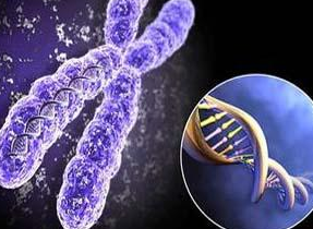 ���ݴ���