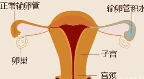 ���ݴ���