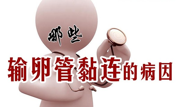 ���ݴ���