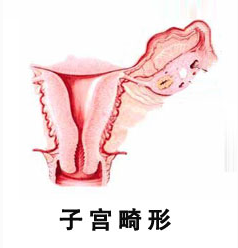 ���ݴ���