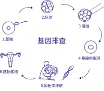 �Ա�ɸѡ-̥���Ա����