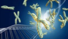 �������Թ�Ӥ��