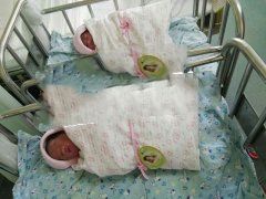 ��ϲ��������ϲ��˫��̥