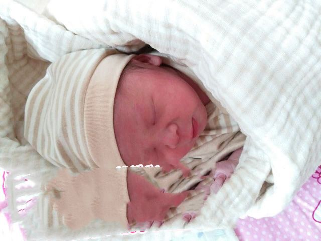 ���ݴ���