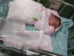 �㶫Z��������С��˳������