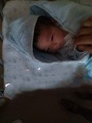 lesbian�Թ��齨������ͥ