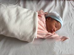 �ӹ������������ ϲ�񽡿��б���