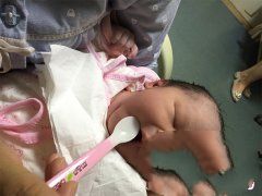 ��ϲ÷С�����гɹ�