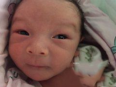 Ⱦɫ����λ����ɹ�ֲ������������̥