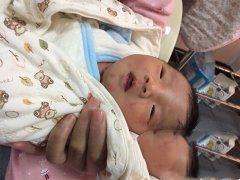 ʮ��������������