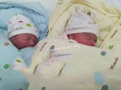 �㶫N����ϲ��˫��̥�б�