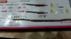 ����Ҳ�ܻ��У���XŮʿ�ĳɹ����ﾭ��